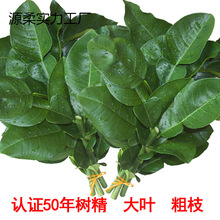 �Fժ�����~ȥ�ޚ� �_�\�D�\���w�¾��۸� 50���Ϙ�Gɫ���r��֦�~