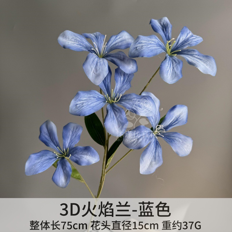 불꽃 난초