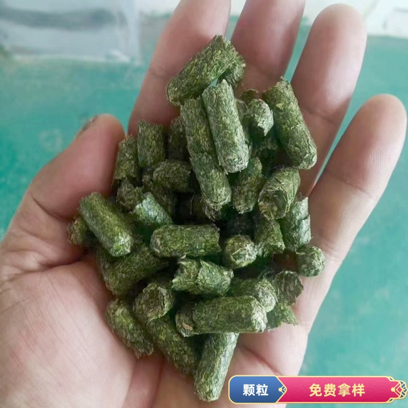 苜蓿草颗粒 牛羊草料 紫花苜蓿反刍动物饲料 牧草草颗粒