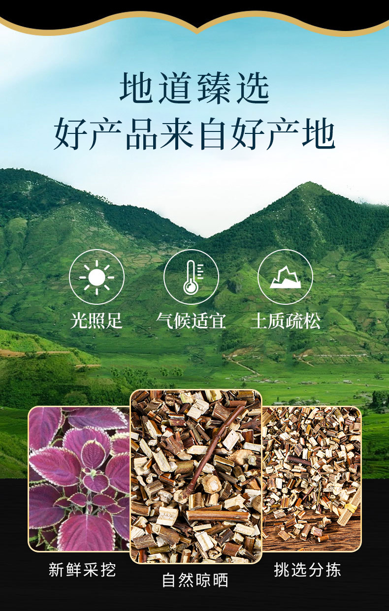 Zi Su (Perilla frutescens) — Dried Perilla Leaf & Stem, Food Herb for Tea & Soup overview
