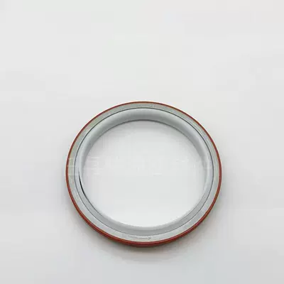 3925529 in Stock, Suitable Oil seal