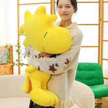 �ɐ��SɫС�B���T������żë�q���ʷŬ�ȹ���˯�X�������նY��Ů