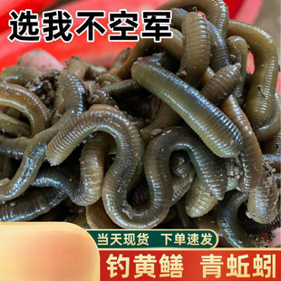 ���u�r����򾼱���S�X�����D��ζ�D�ϳ��������~�D���]���l�����