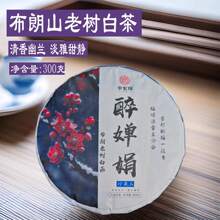 云南古树白茶头春月光白饼茶2024年白茶饼300g云南茶叶厂家批发