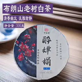 普洱茶;再加工茶;白茶