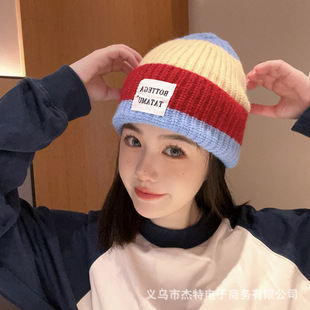 Knitted Hat for Women Ins Trendy Stripesd Color Matching Plush Hat Autumn and Winter Warm Woolen Hat for Men Simple Fashion Cold Hat K-Style
