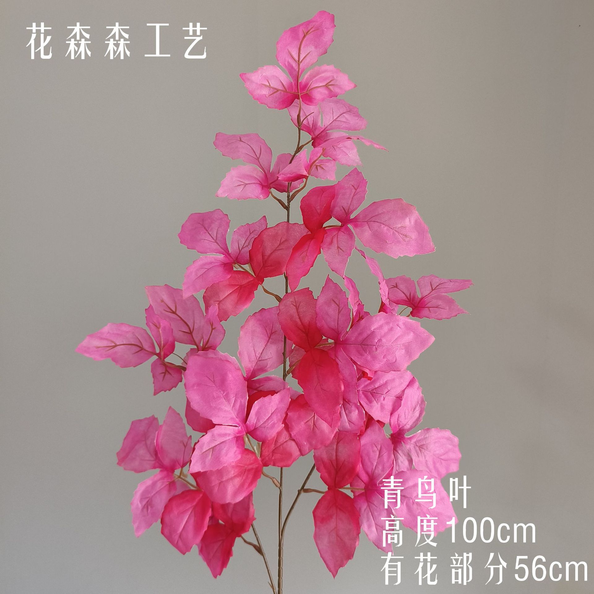 블루 버드 잎 150037