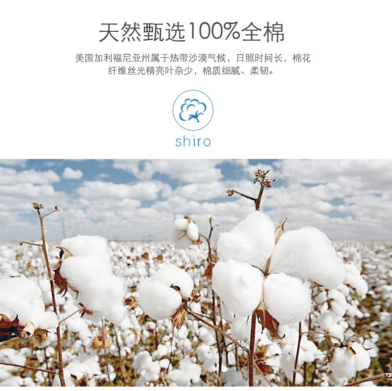 棉柔巾-5