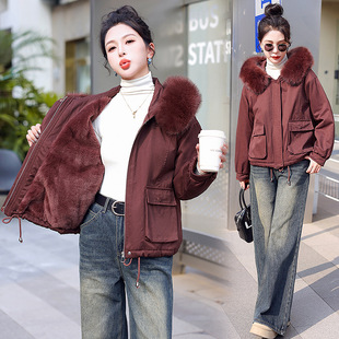 2025�궬���¿�p�g�ٴ����m���H�w���e�r������Ʒ�|�̿����׳���