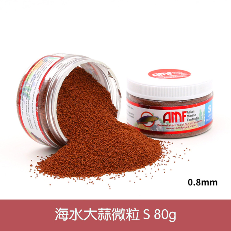C5-海水ニンニク80g 0.6-0.9mm (s号)