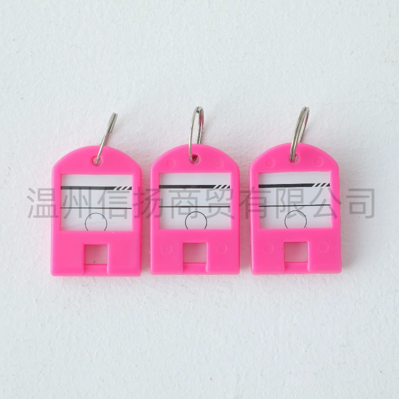 Plastic removable keychain for keys for office