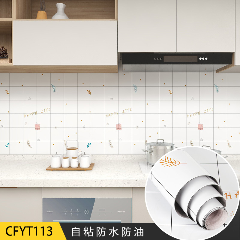 CFYT113