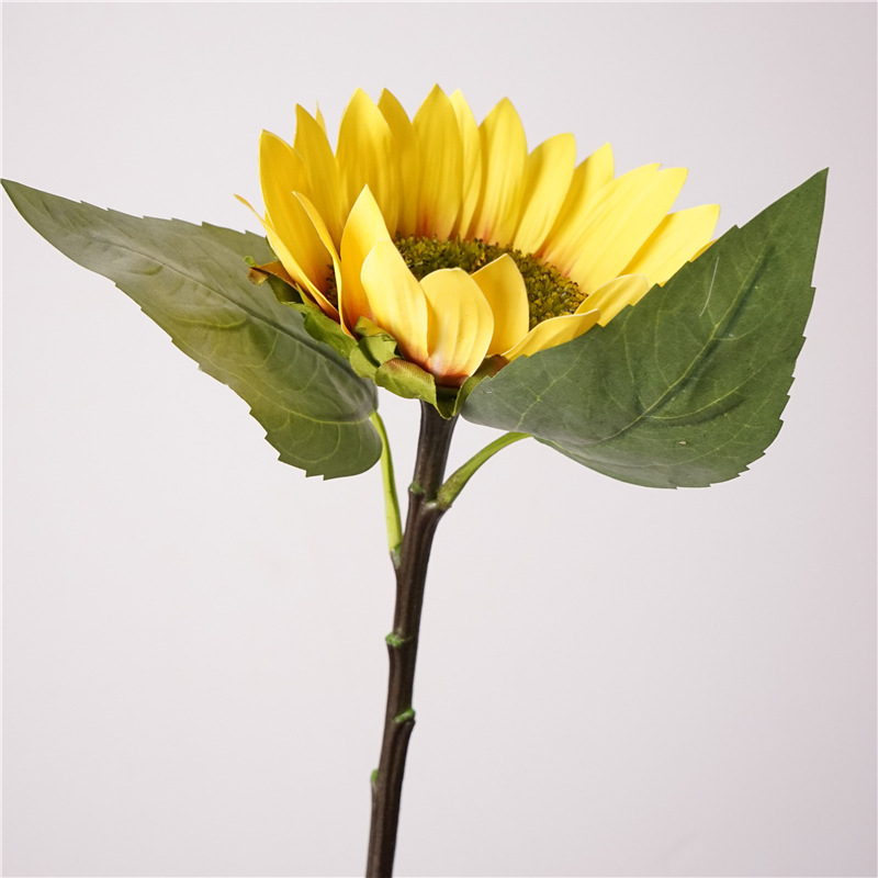 Rama de girasol amarillo