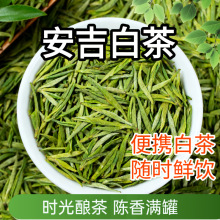 安吉白茶批发货源 核心产区品质统一 快速发货时效有保障