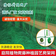 爬藤网园艺爬藤网格网爬藤花架瓜果牵牛花攀援花卉爬藤植物跨境
