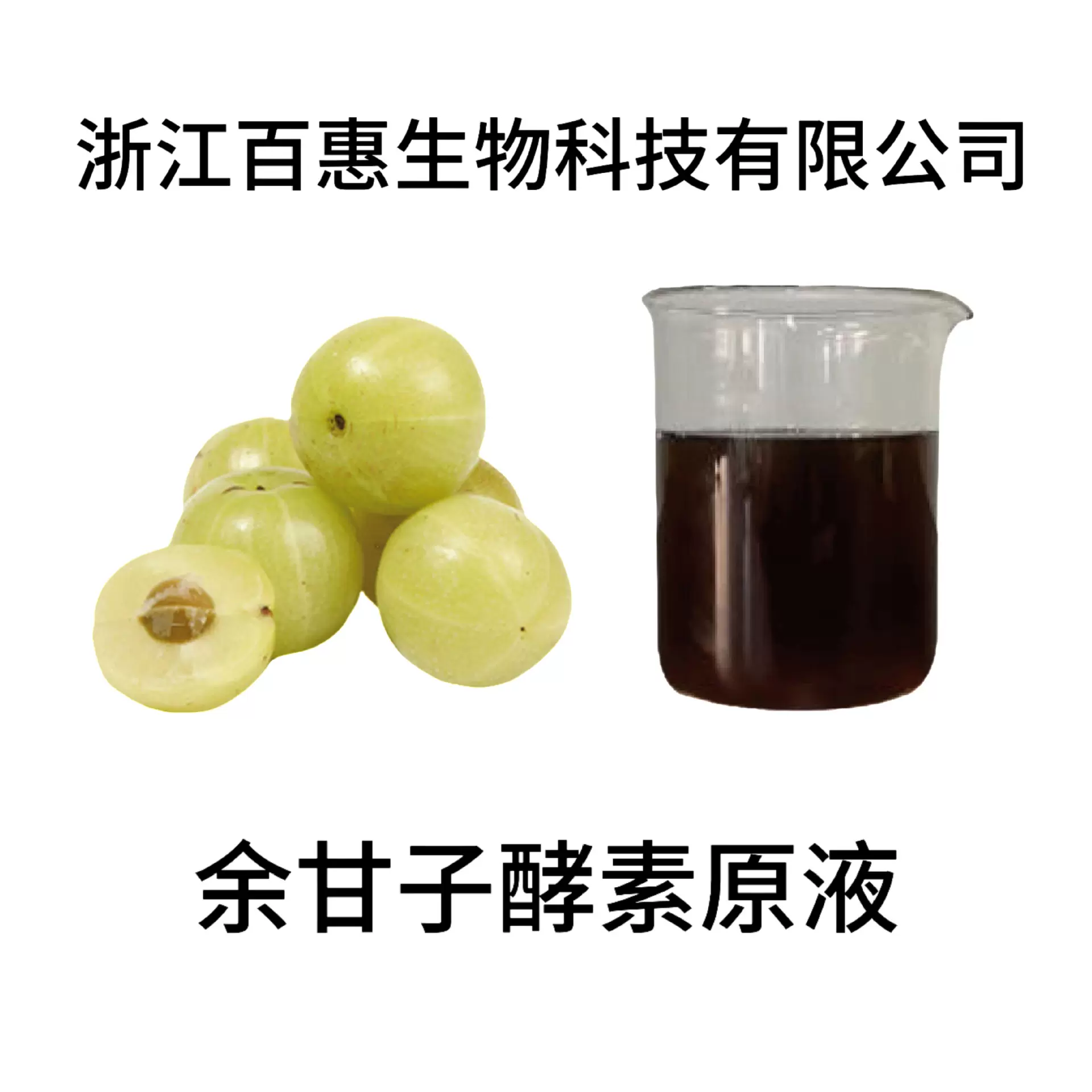 余甘子酵素原液 余甘子浓缩液 余甘子提取物 百惠生物厂家出品