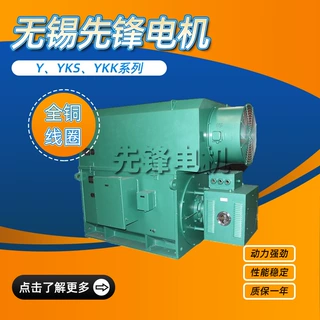 无锡先锋电机Y、YKS、YKK系列高压三相异步电机全铜线圈厂家直供