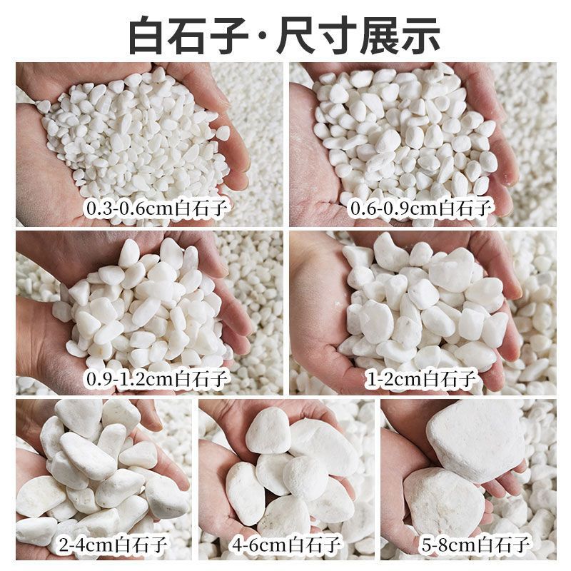 100斤小白石子鹅卵石原石天然多肉铺面石园艺庭院造景花盆白石头