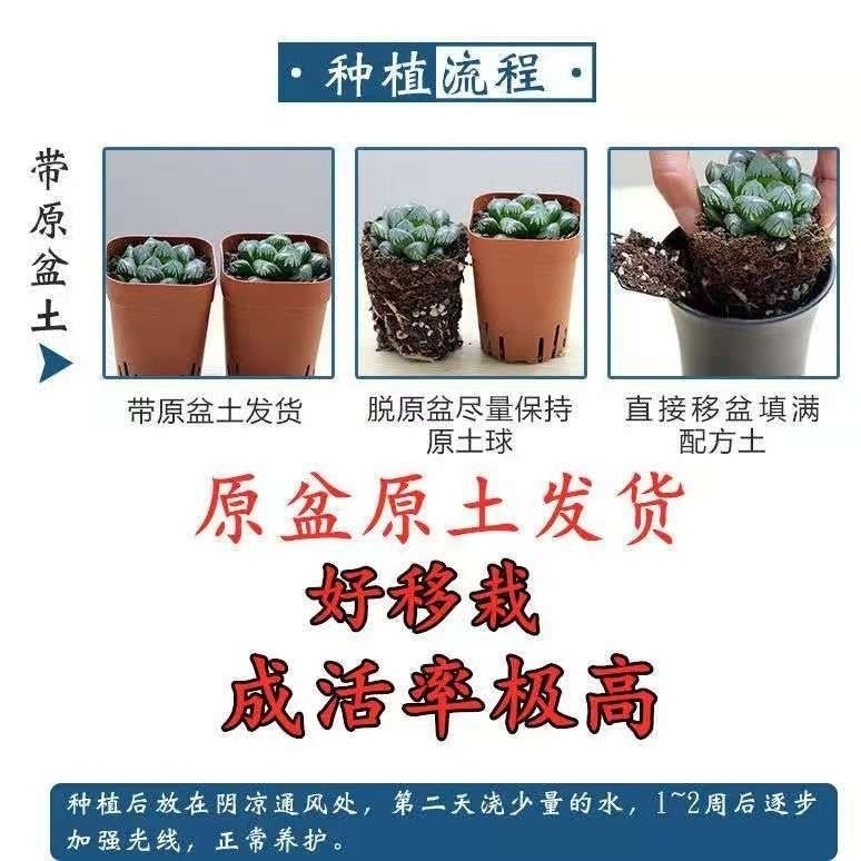 031cce5d-c361-4704-853c-7a46de941cef.jpe