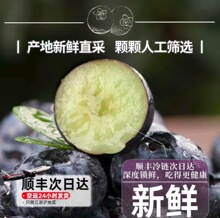 �{ݮ�r����ϻ����{ݮ���rˮ��10�д����ɽ���w��ݮ������S