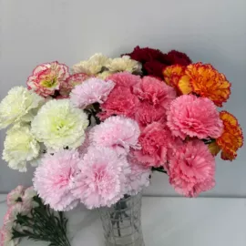 仿真花;仿真果蔬