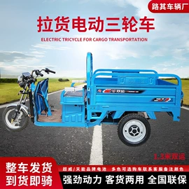 电动三轮车;电动车充电器;蓄电池