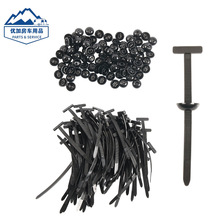 羳Ʒ۾100ֻ۟u܇̶l