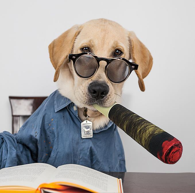 PVC充气香烟 充气仿真烟 PVC棒子模型广告礼品厂家直销