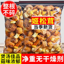 姬松茸新货云南特产松茸菌巴西菇干货煲汤批发商用食用菌干货直销