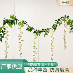 �����ٗl�҃��b����ٗl��c�b��l�ٻ����滨����Gֲ��������