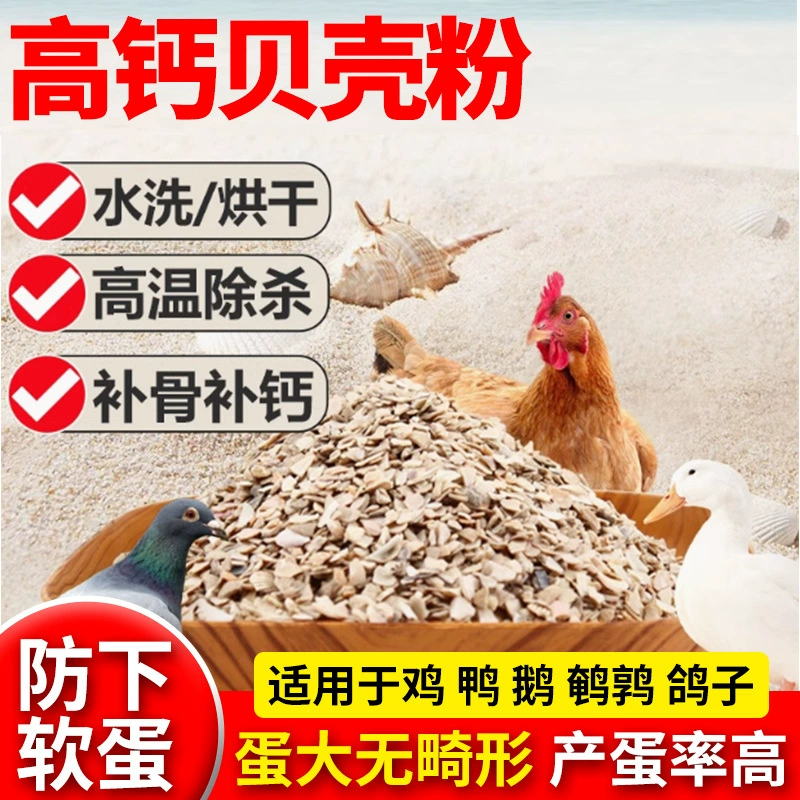 Порошок с высоким содержанием кальция в скорлупе для предотвращения клюва яйца устрицы