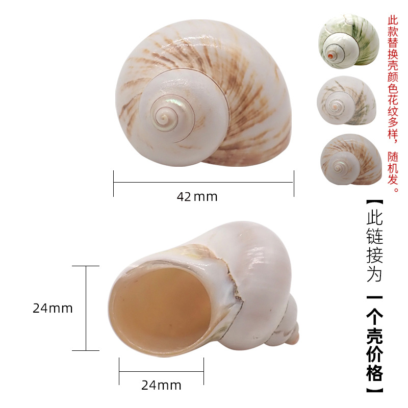 노란색 x59 대형 크림 아보카도 3-4cm