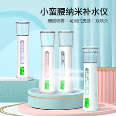 ナノスプレー保湿器 クロスボーダー Amazon ダブルスプレー蒸気美顔器 冷スプレー充電式フェイス加湿器 美容機器