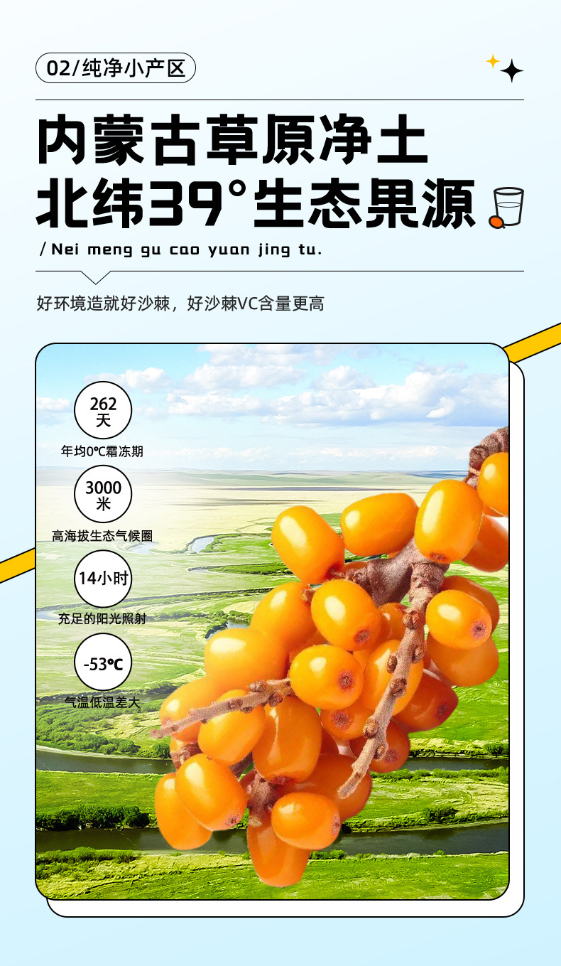 Sea Buckthorn Juice Puree 1.8L 60 Sachets Bulk Gift Box Ready to Drink quality and texture