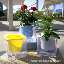 �S���������l�¿�����ħ����������ˮ������⻨��ˮ��Gֲ����