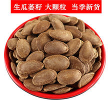 ��ɹ��V�� ���V�� ����� �¹�ή�ʰ��] 500����؛��؛��؛��؛