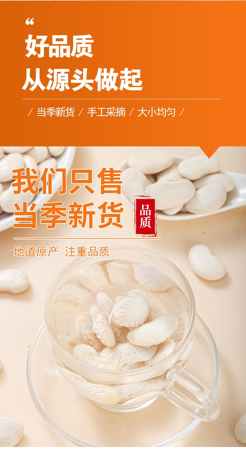 White Kidney Beans (Phaseolus vulgaris) — Dried Food Herb, 500g Bulk for Soups & Teas in use