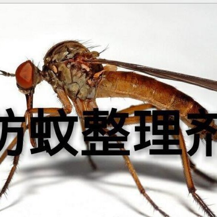 ����������LT-FC01֯����ó�������