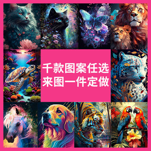 �S�Ҷ��ƿ羳5d�M��ֹ��ʯ��diy�ʯ���b����ÿ͏d�쮋���l