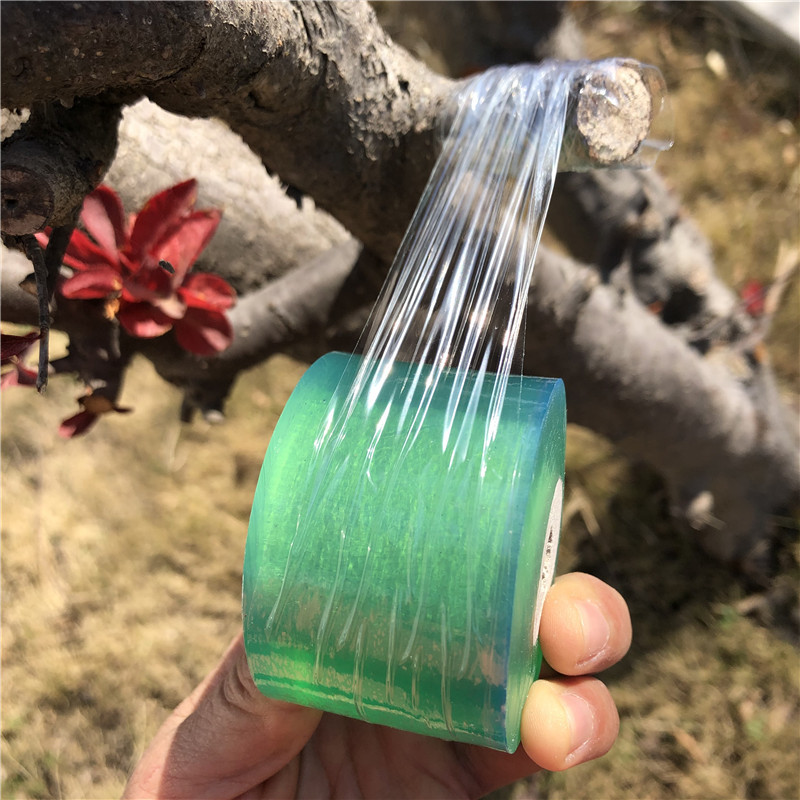 果树嫁接膜打包包装膜塑料薄膜透明自粘膜免打结2cm3cm