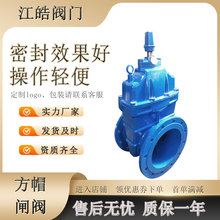 ���·��mܛ�ܷ��l�yDN200��ī�T�F���^�������⎧�w�͸��g���]