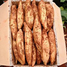 �F�������ɽѩɏ�����r10���ЋDˮ��������������]�t�Ĵ��