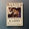 Wano, Кайдо