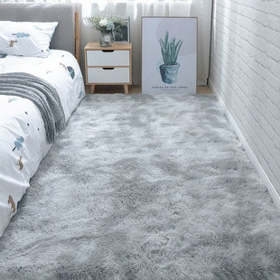 Carpet Bedroom Bedside Plush Girl Ins Full Living Room Room Stain-Resistant Sofa Coffee Table Blanket Floor Mat