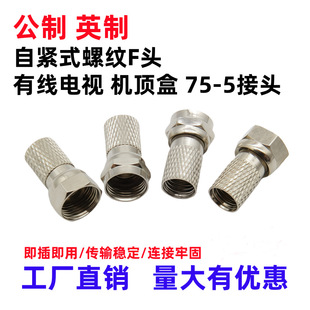 �о��ҕ���^ȫ�~�ԾoF�^����Ӣ��ֱ������75-5F�^�l�ǙC픺н��^
