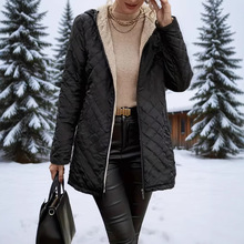 2026�������u�p���Bñ�L�����������������L���޷�����Ů������