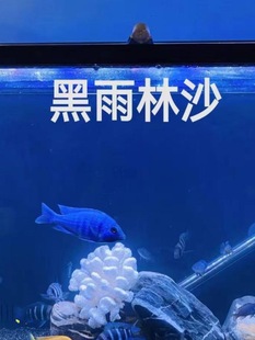 ��ɫ����ɰˮ�廯�yɰ�쾰̫�к�ɰ���������_���{���������ڼ�ɰ