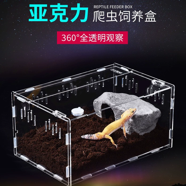 Прозрачная акриловая коробка для рептилий Паук Ящерица Рогатая лягушка Черепаха Акриловая коробка для кормления Высокопроницаемая коробка для кормления домашних животных