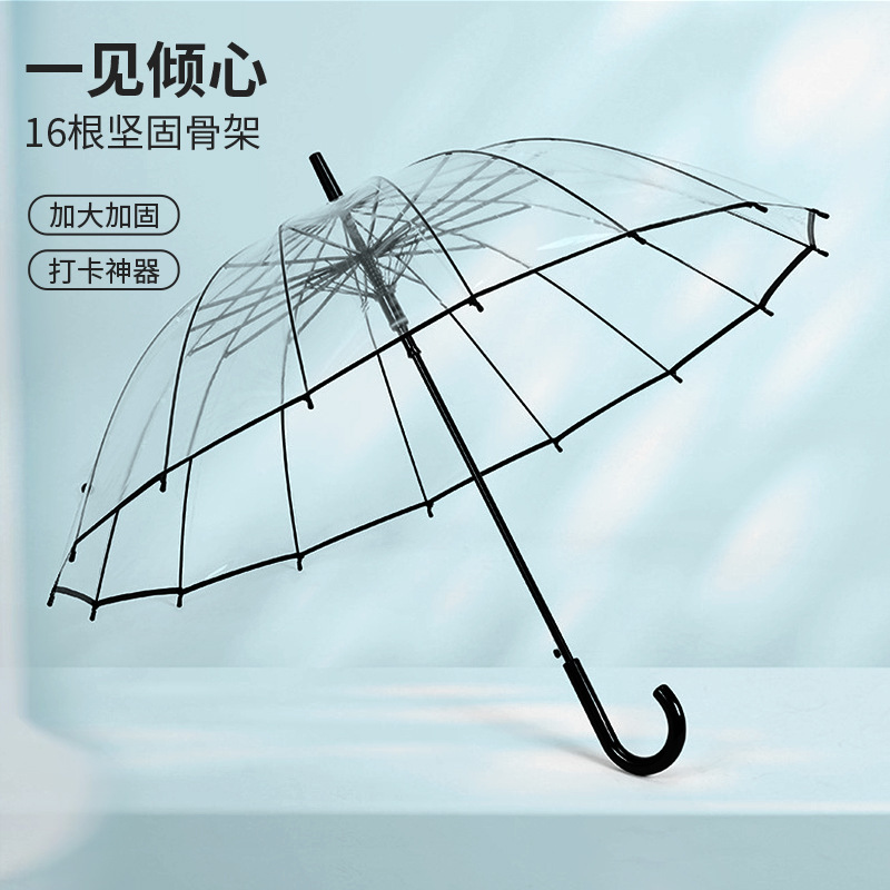 Wholesale 16-Rib Strong Wind-Resistant Unisex Large Solid Color Transparent Umbrella Automatic Long Handle Double-Person Couple Durable Transparent Umbrella Wholesale 16-Rib Strong Wind-Resistant Unisex Large Solid Color Transparent Umbrella Automatic Long Handle Double-Person Couple Durable Transparent Umbrella