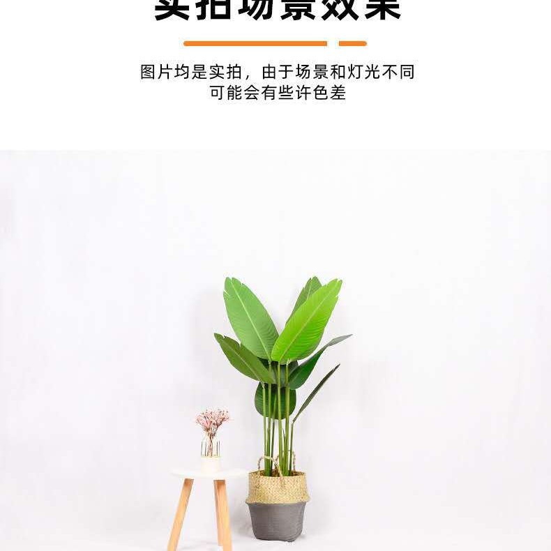 Factory wholesale 3*6 meters white pure cotton photography…